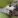 Fulyauluer4