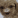 k1557593