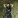 Enes_ozbey
