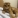 Cookie2025