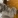 k1612928