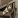 k1615856