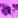 Cocoj