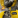 k1672348