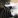 catpuella