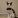 Thexhat