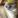 Miasweetcat