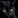Whiskered