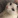 catmayacat