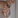thecat_