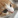 irmo_12345