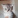 kerem3437