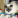 toshio