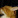 Catlovermiya