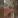 lustrate