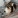 nevzer05gmailcom