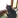 gececatworld