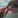ertn_glr