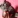 duman_cat_world