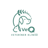 VetQ Veteriner Kliniği