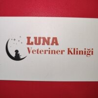 Luna veteriner kliniği