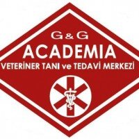 G&G Academia