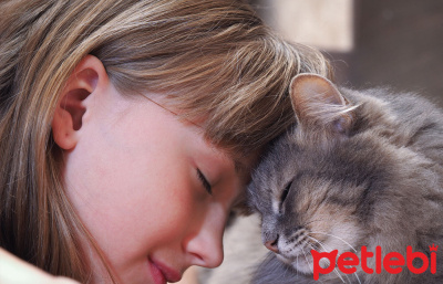 Kediler Neden Sahiplerine Saldirir Petlebi