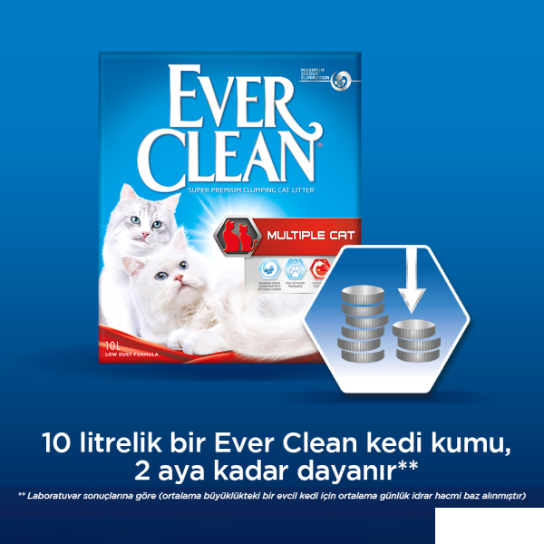 ever clean multiple cat