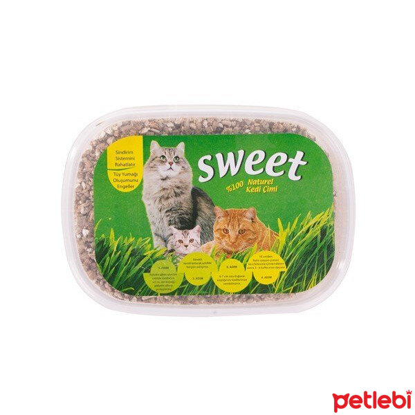 Sweet Kedi Çimi Satın Al Petlebi
