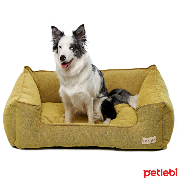 Pet Comfort Alpha Mirandus 24 Buyuk Irk Kopek Yatagi 70x90cm Sari L Satin Al Petlebi Pet Comfort Alpha Mirandus 24 Buyuk Irk Kopek Yatagi 70x90cm Sari L Satin Al Petlebi