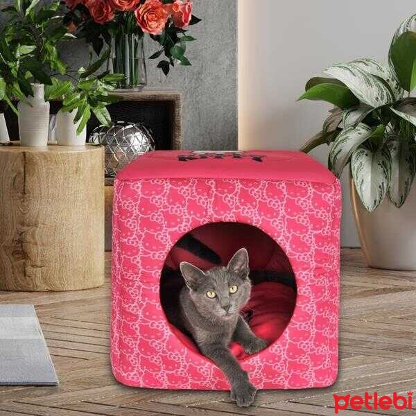 hello kitty 3 fonksiyonlu kup kedi yatagi 40x40x40cm pembe satin al petlebi