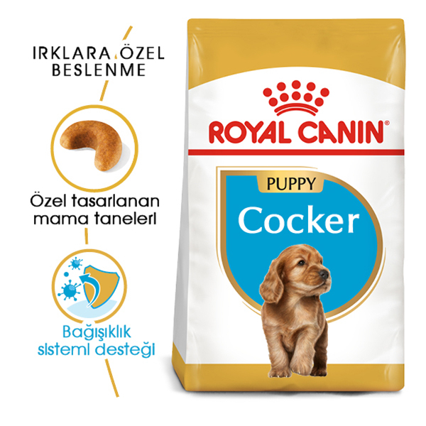 royal canin cocker junior