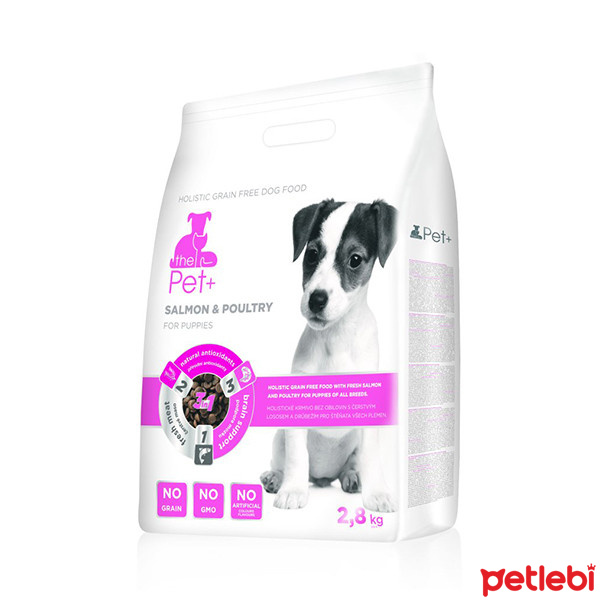 thePet+ Holistic Beyin Gelişimi Destekleyici Tavuklu ve Somolu Tahılsız