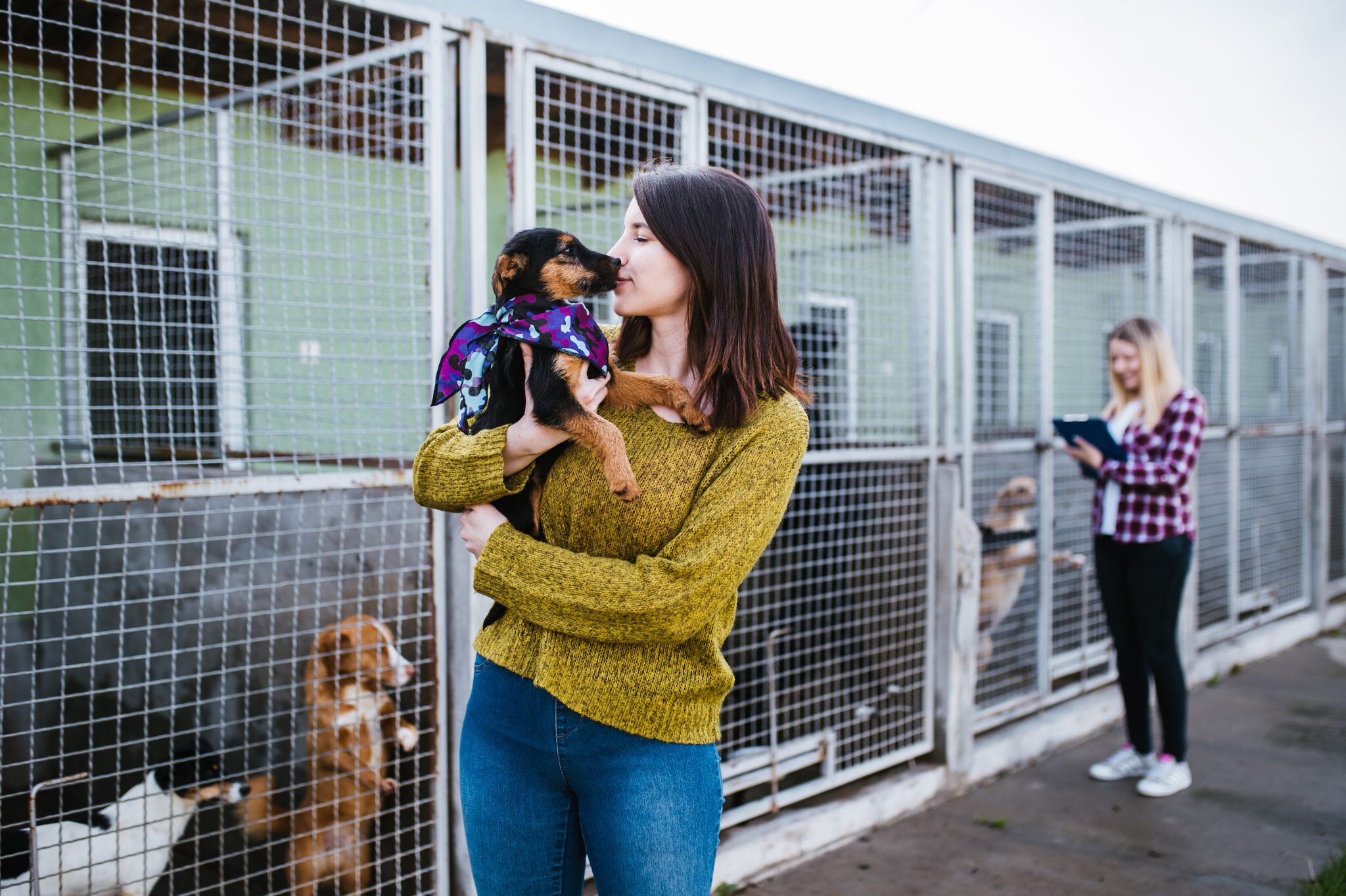 woman adopting dog from shelter