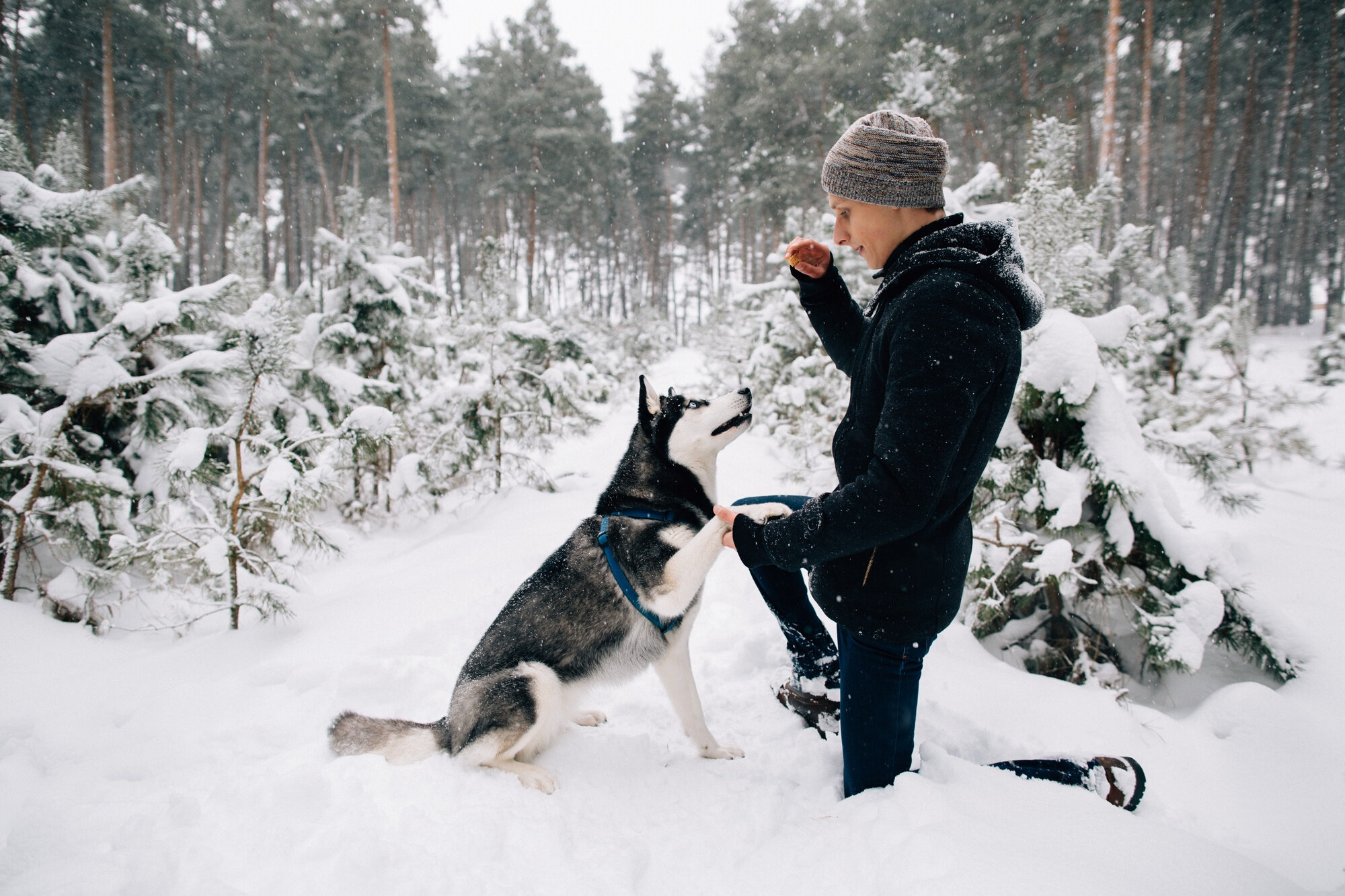 karda sahibi ile zaman geçiren köpek