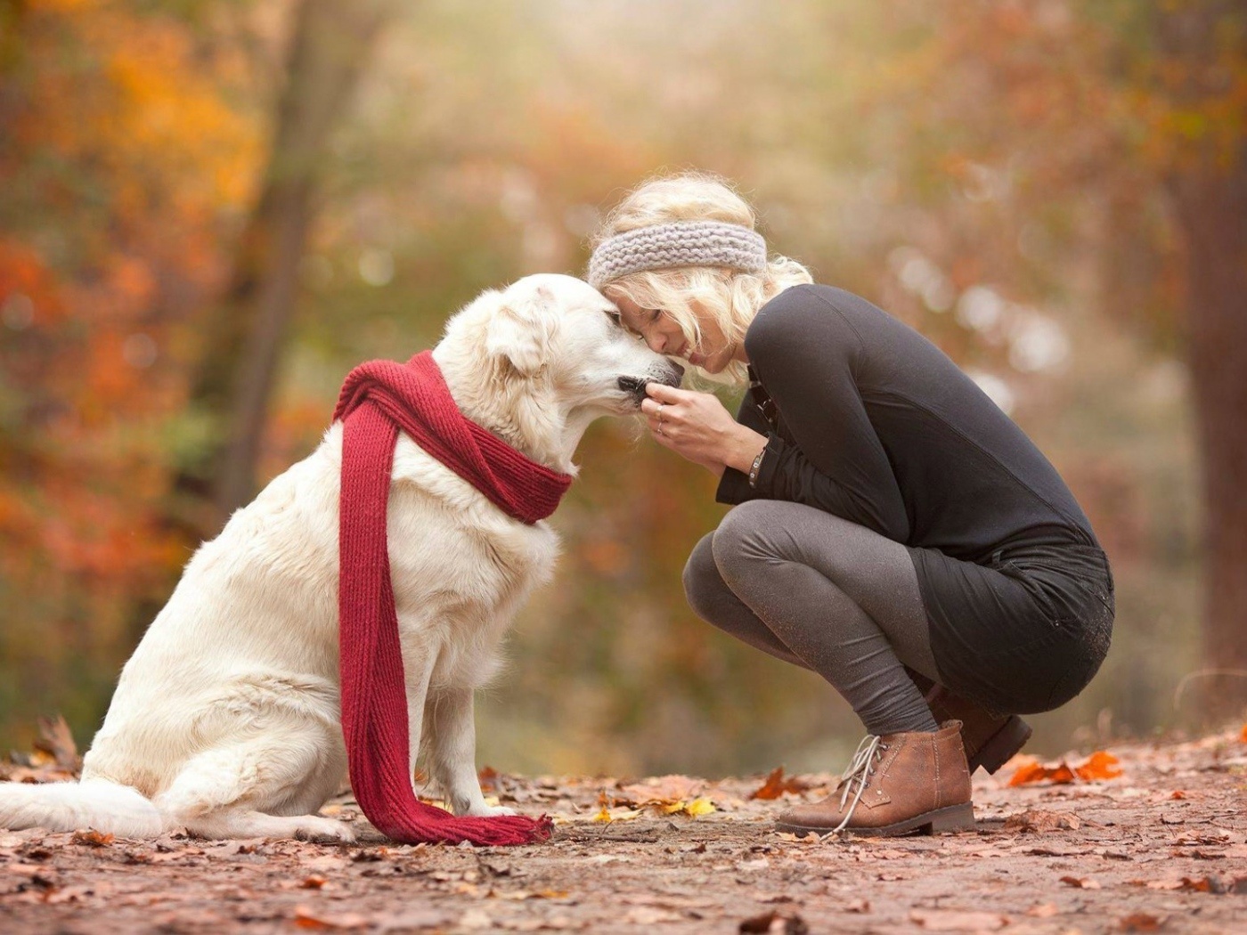 sahibine sarılmış köpek