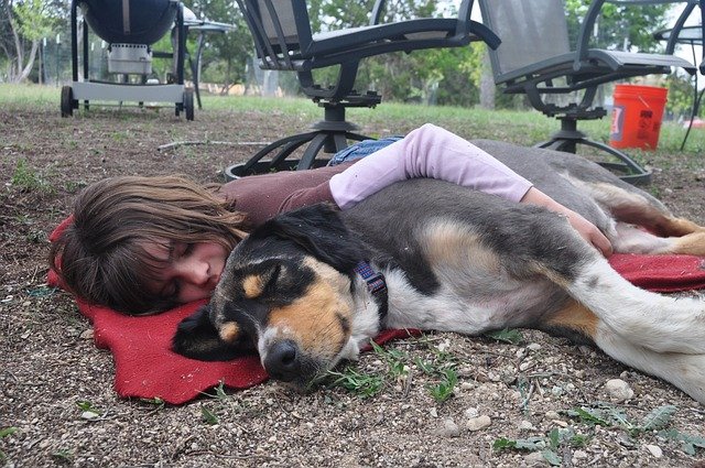 Köpekle birlikte bahçede uyuyan kız