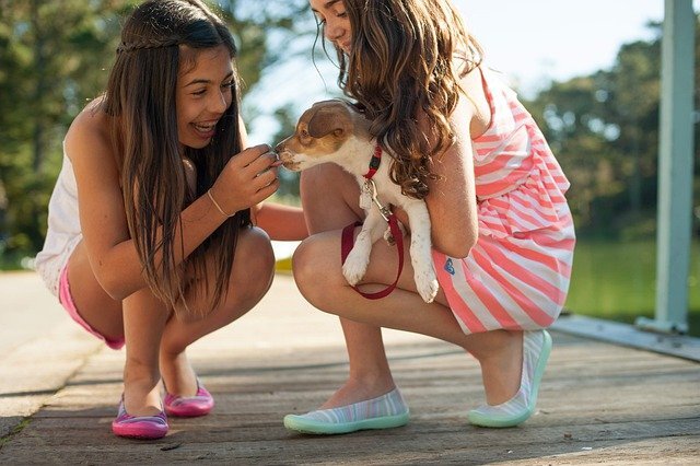 İki kız çocuğu yavru köpeği seviyor