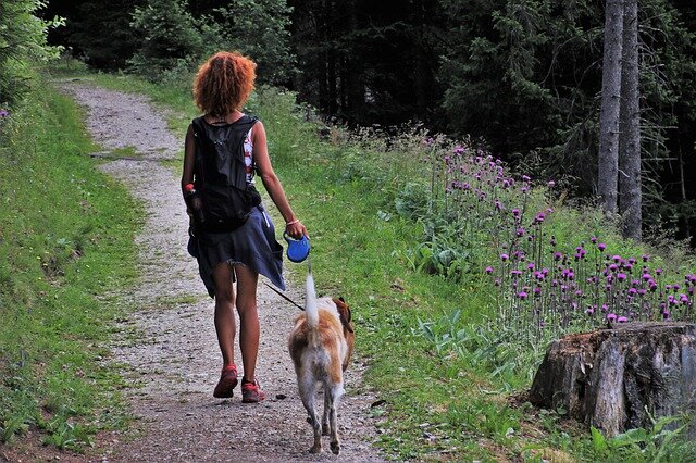ormanlık alanda otomatik kayış tasması olan köpek ile kadın yürüyor