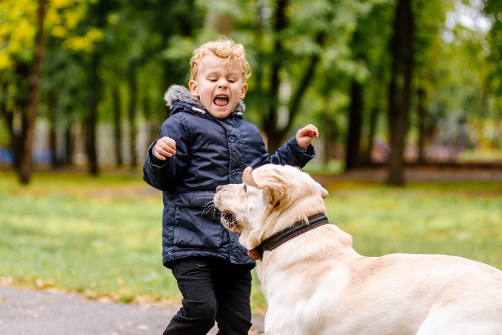 parkta köpek ve karşısında bağıran çocuk