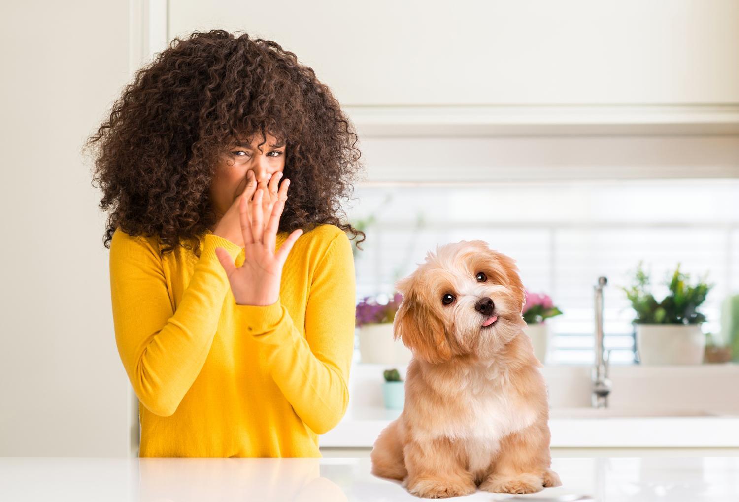 köpeğin kokusunda rahatsız olan kadın