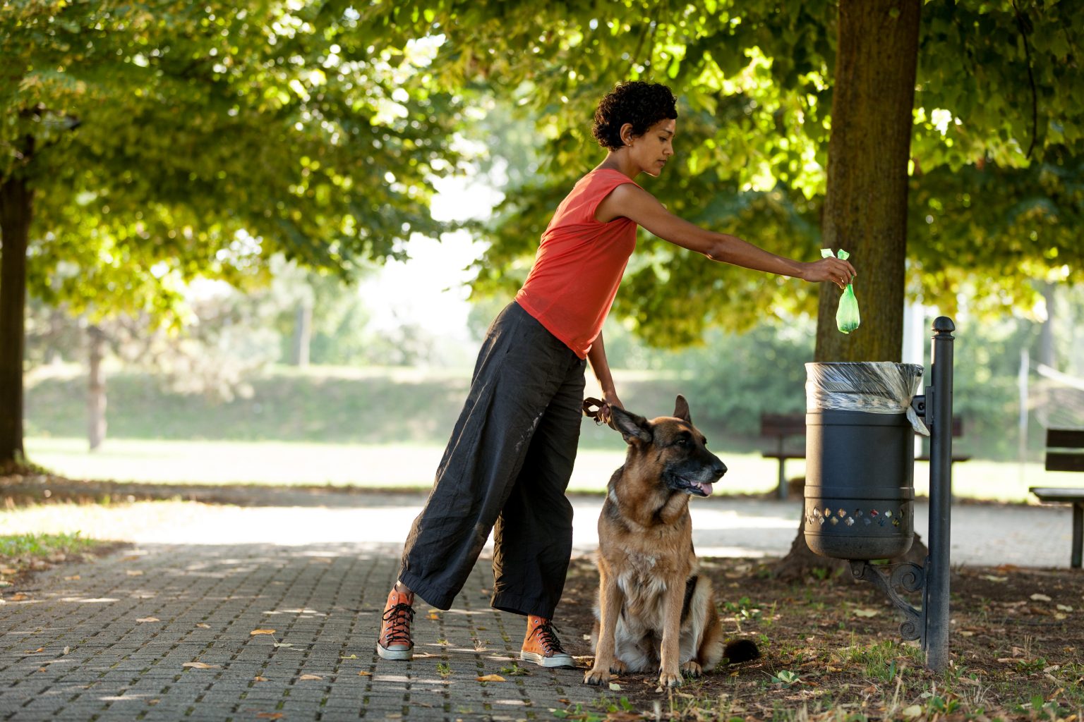 sahibi ile parkta gezen köpek