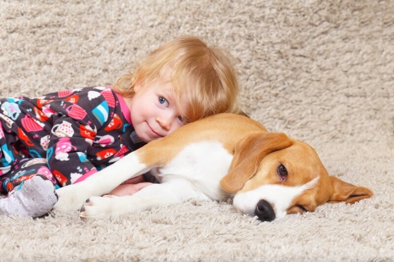 halıda köpeğin üstüne yatmış küçük kız